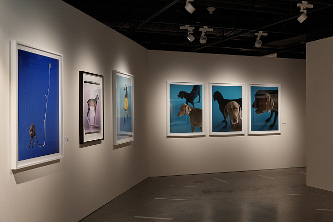 P1015793.jpg