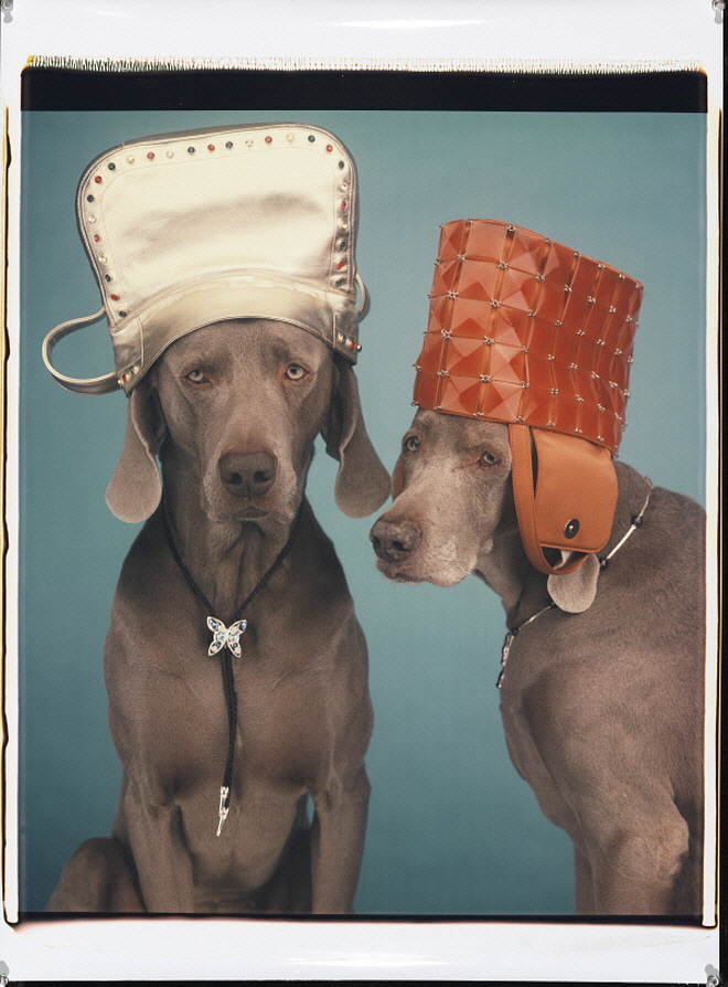 11180_Head Wear Neck Wear_2000.jpg
