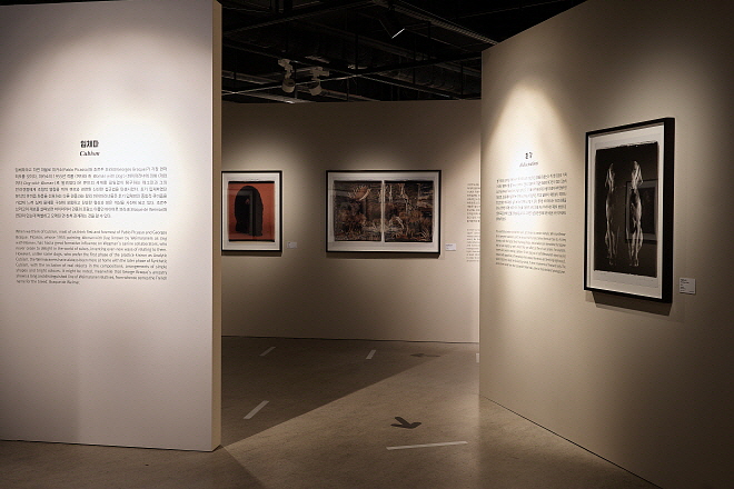 P1015877.jpg