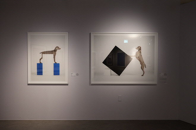 P1015875.jpg