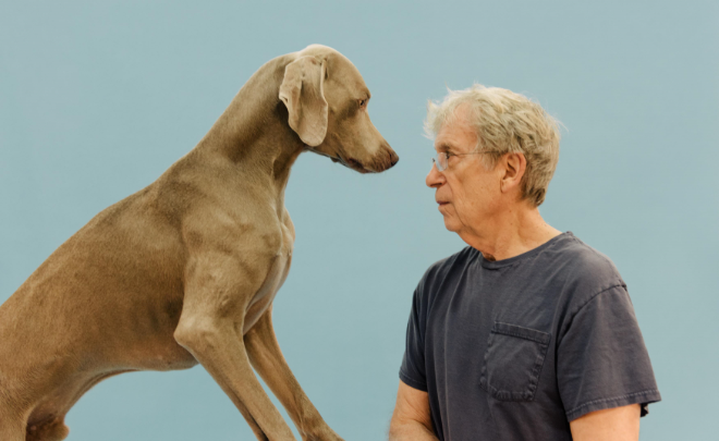 sASsEqSMEgQ13_71AYvuyg_custom-Custom_Size___Artsy+-+WilliamWegman_0097-Edit+2.png