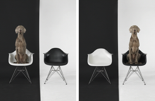 36182_Left Right Black White_2015.jpg