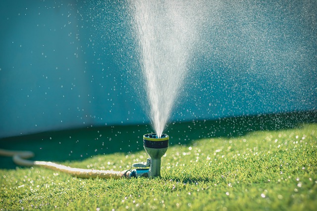 water-4853498_640.jpg
