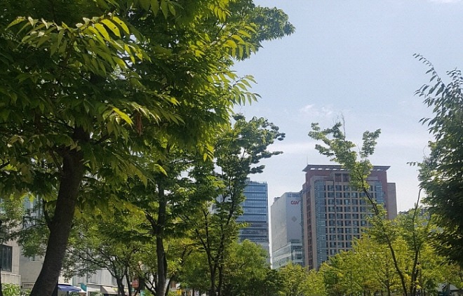 연남동.jpg