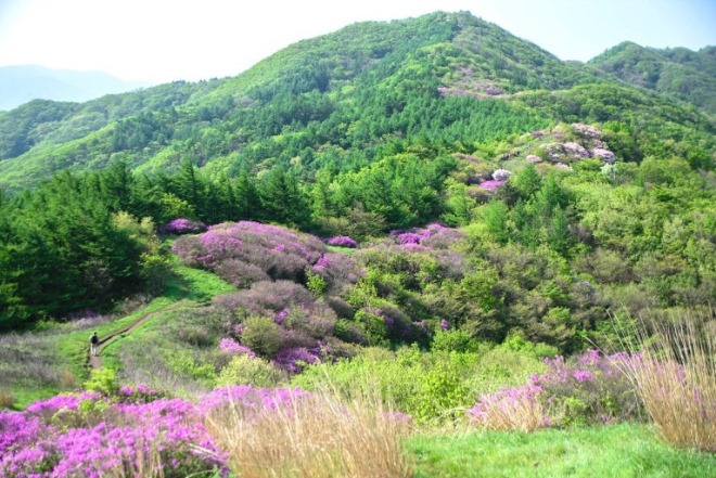 봄산1.jpg