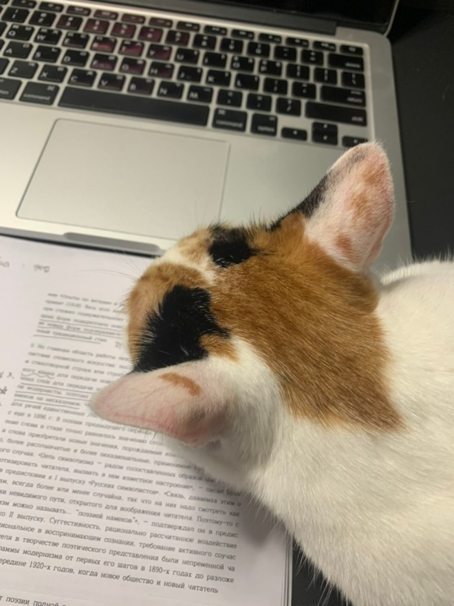 KakaoTalk_20210920_124948462.jpg