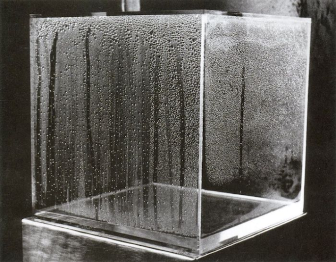 Hans Haacke, Condensation cube.png