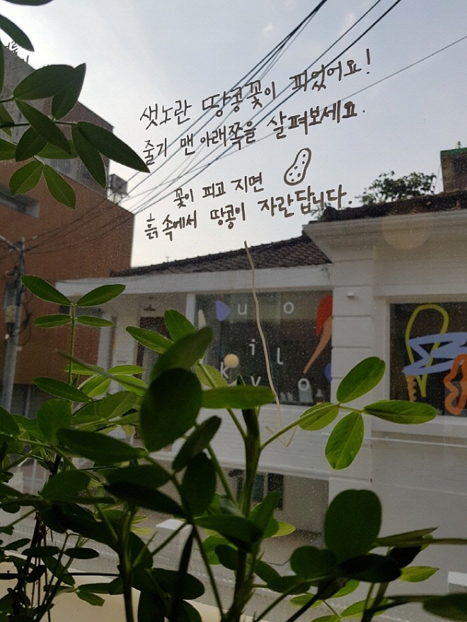 KakaoTalk_20210923_163609584_13.jpg