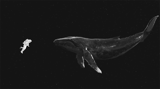 tumblr_nz0meiGbMU1tu5c31o1_1280.gif