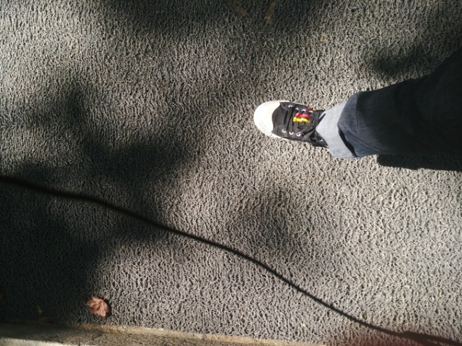 [크기변환]20191008_130134_HDR.jpg