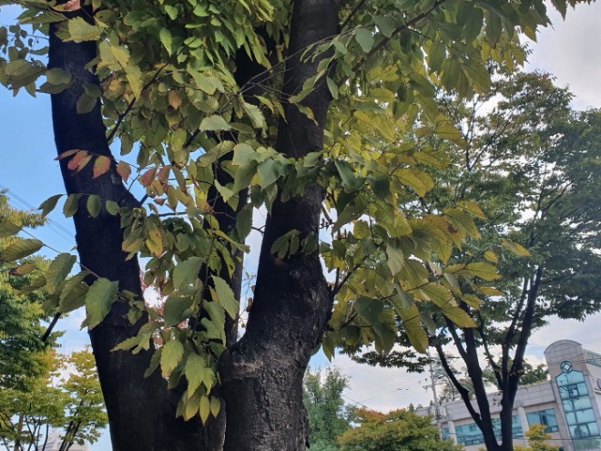 [크기변환]20211018_153902.jpg