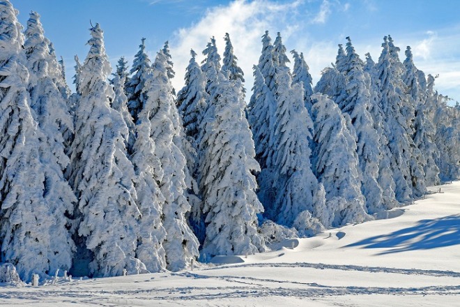 wintry-g63a5194af_1920.jpg