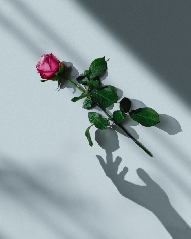 욕망4.jpg