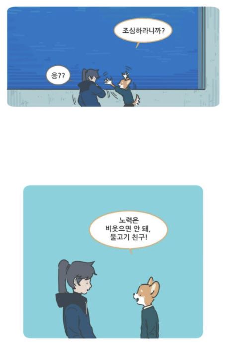 111.JPG