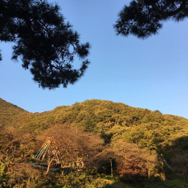 [크기변환][꾸미기][크기변환]1.jpg