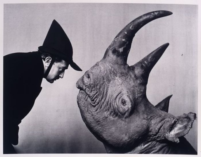 TitleDalí and the RhinocerosMakerPhilippe HalsmanDate Made1952. ©Halsman Archive Image Rights of Salvador Dalí reserved. Fundació Gala-Salvador Dalí, Figueres, 2016..png