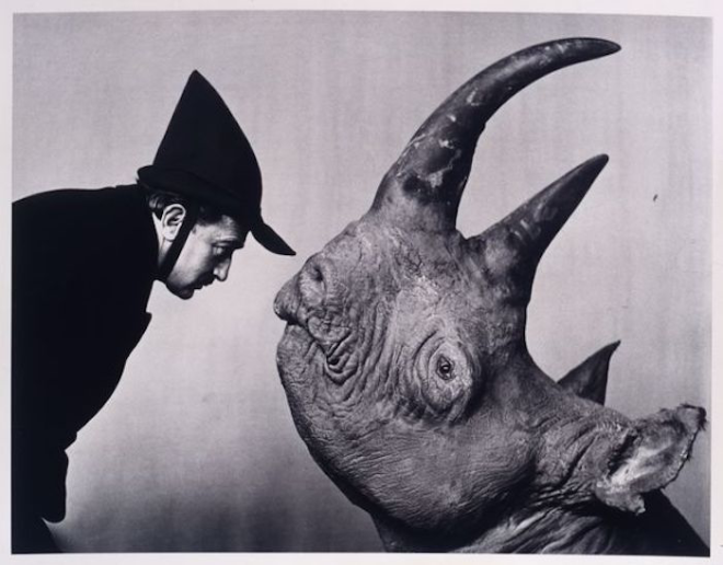 TitleDalí and the RhinocerosMakerPhilippe HalsmanDate Made1952. ©Halsman Archive Image Rights of Salvador Dalí reserved. Fundació Gala-Salvador Dalí, Figueres, 2016..png