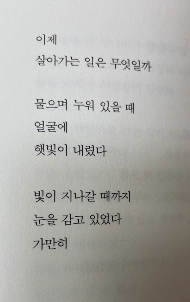 햇빛.jpg