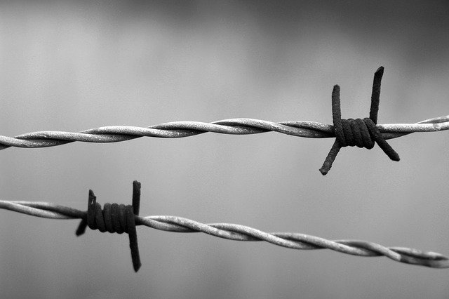 barbed-wire-g45be5111b_640.jpg