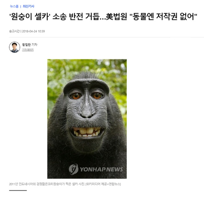 ds.jpg