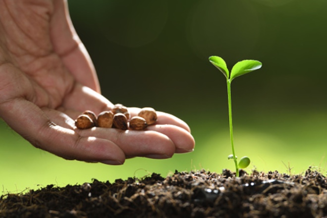 istockphoto-1074943100-170667a.jpg