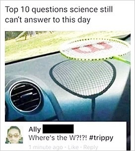 meme.jpg