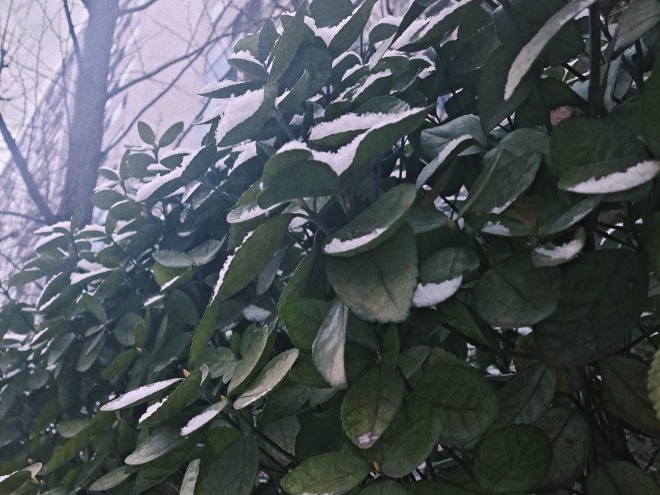 20220114003908_rqkhlnzw.jpg