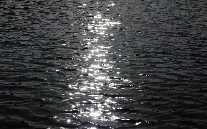 dark-4660888_1280.jpg