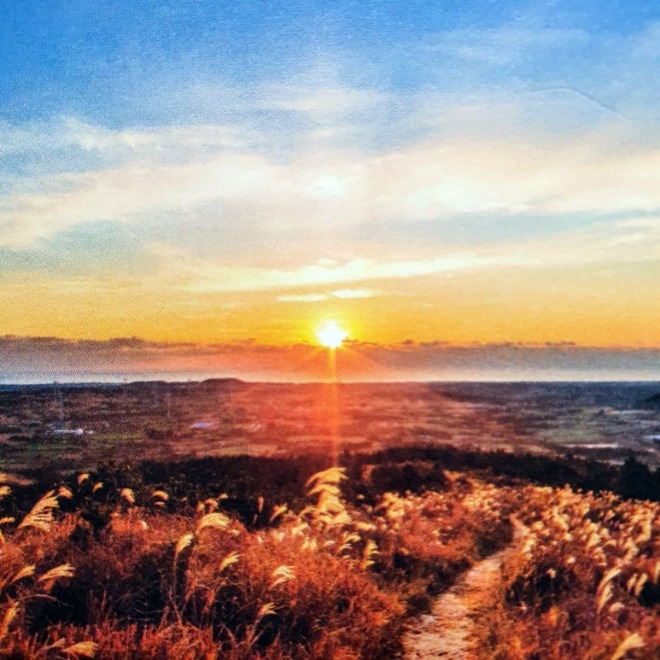 KakaoTalk_20220117_232716397_01.jpg