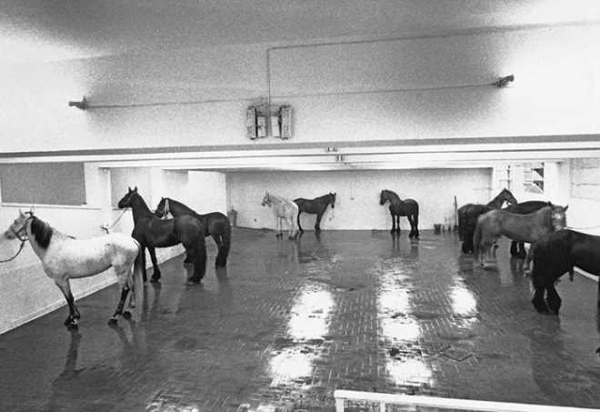 jannis kounellis untitled 1967 rome.jpg