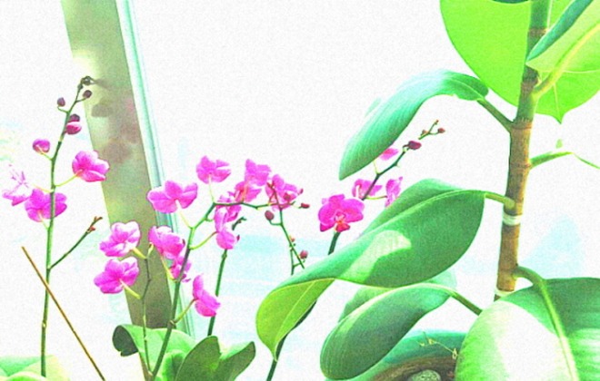 사본 -[꾸미기]20181013_215609.jpg