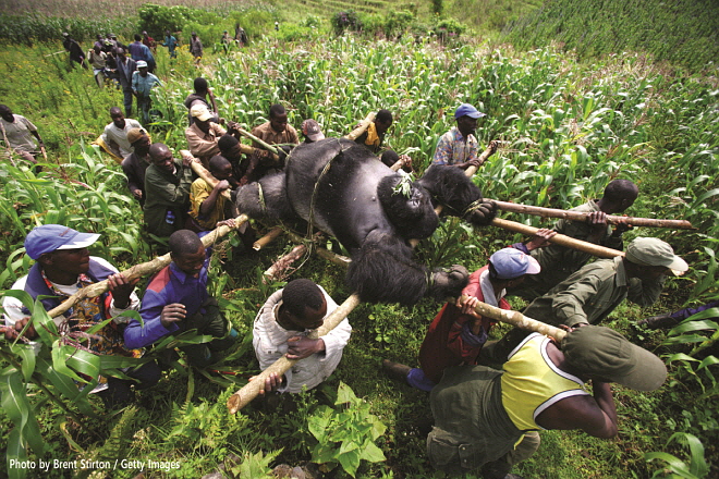GettyImages-2-15-101994212.jpg