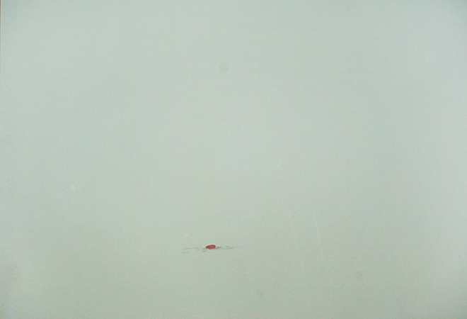 실, 줄기 small.jpg