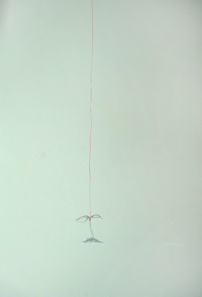 실 줄기 3 small.jpg
