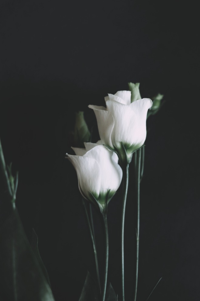 anca-gabriela-zosin-OYEsm66ynm4-unsplash.jpg