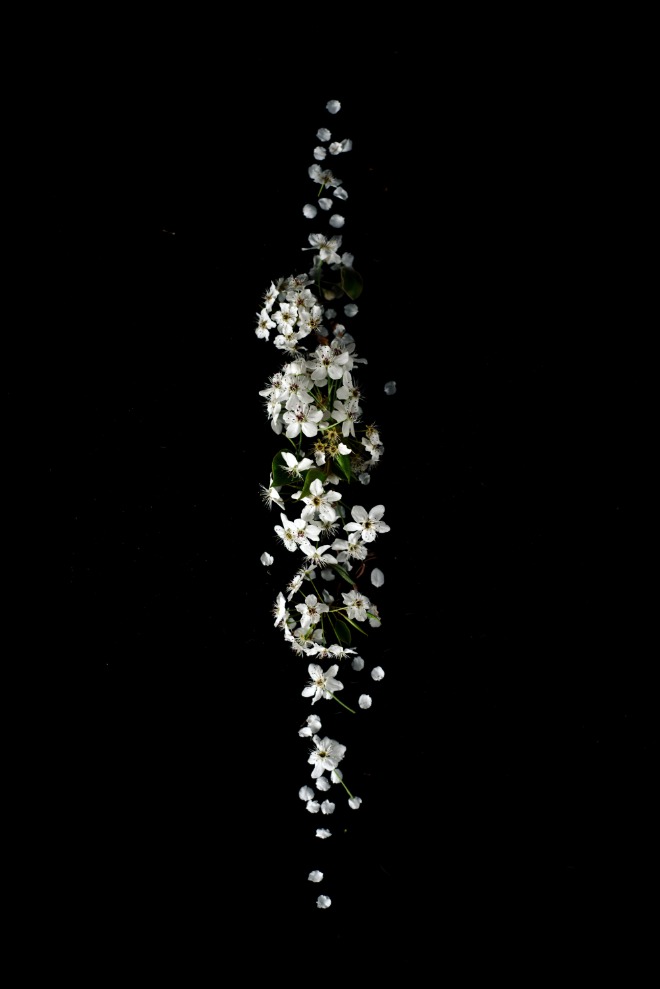 evie-s-TNacNuuEl1o-unsplash.jpg