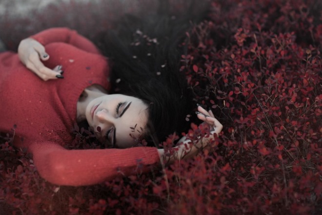 red-2605274_1280.jpg