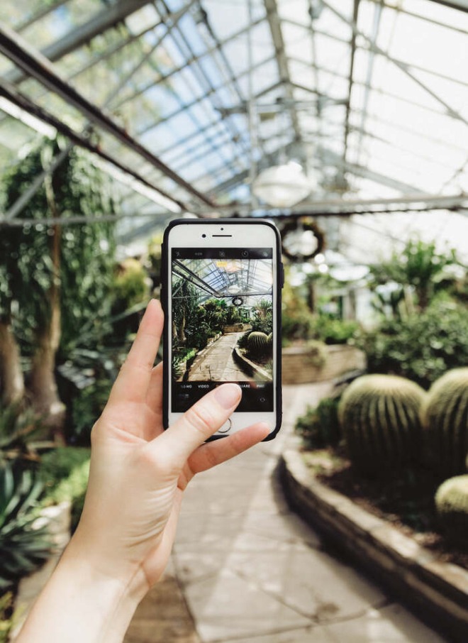 mobile-phone-photography-in-greenhouse.jpg