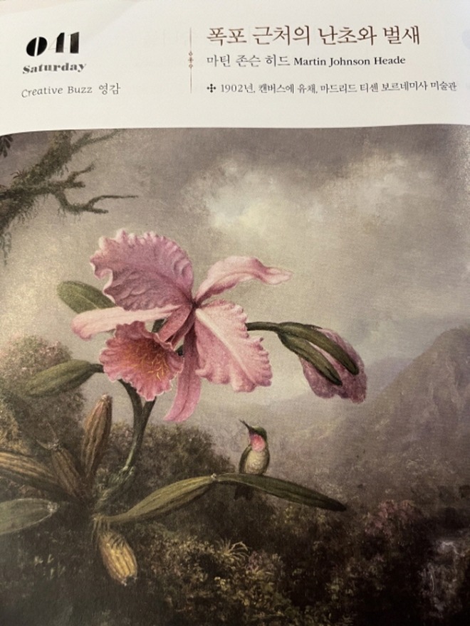[크기변환][회전][크기변환]벌새.jpg