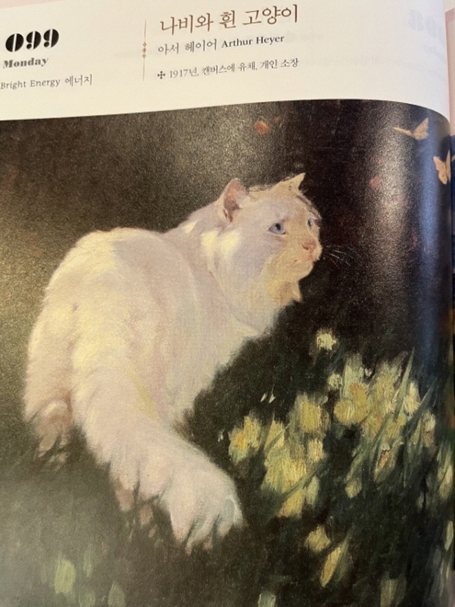 [크기변환][회전][크기변환]고양이.jpg