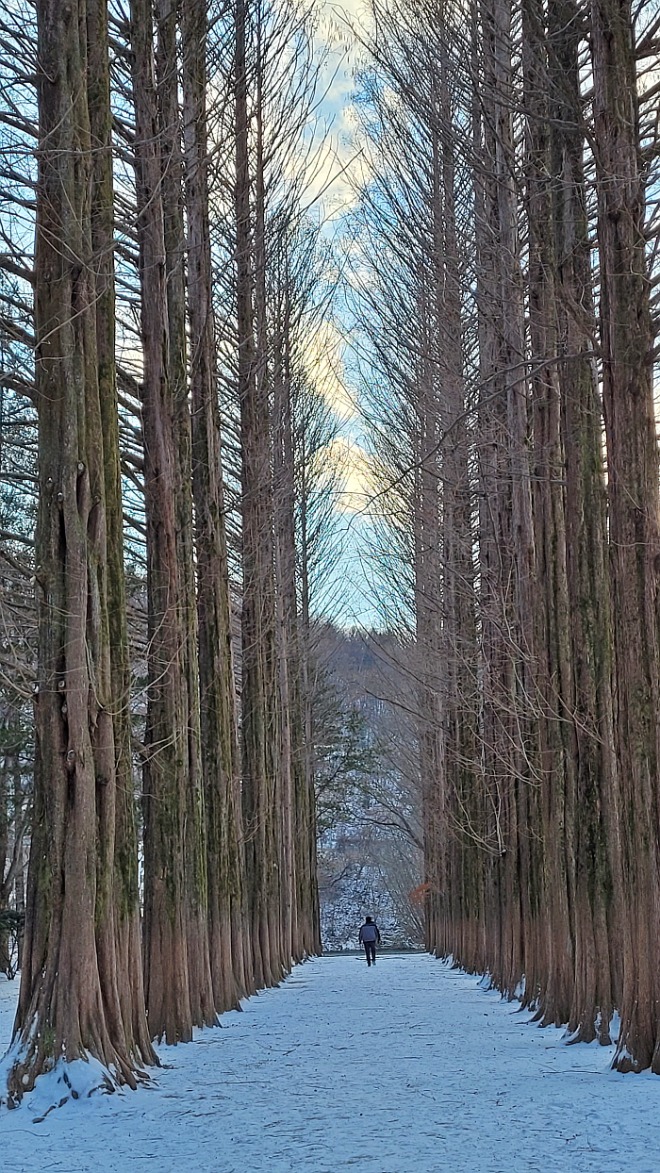 [꾸미기]20210128_165835.jpg