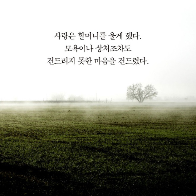[크기변환]최은영_문장_카드뉴스_0719-4.jpg