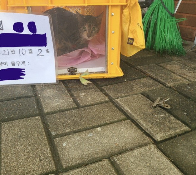 KakaoTalk_20220320_184330683.jpg
