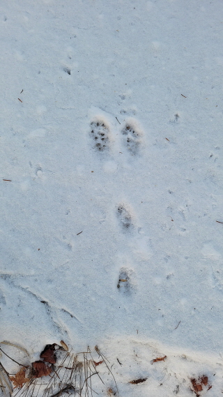 [꾸미기][꾸미기]20210129_075726.jpg