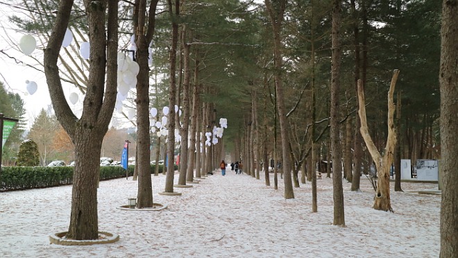 [꾸미기]IMG_8521.JPG