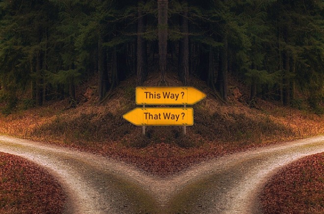 choice2.jpg