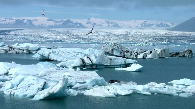 iceberg-ge714cec8e_1280.jpg