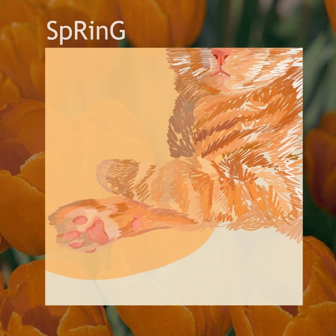 봄.jpg