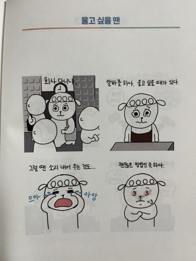 [크기변환][회전][크기변환]3.jpg