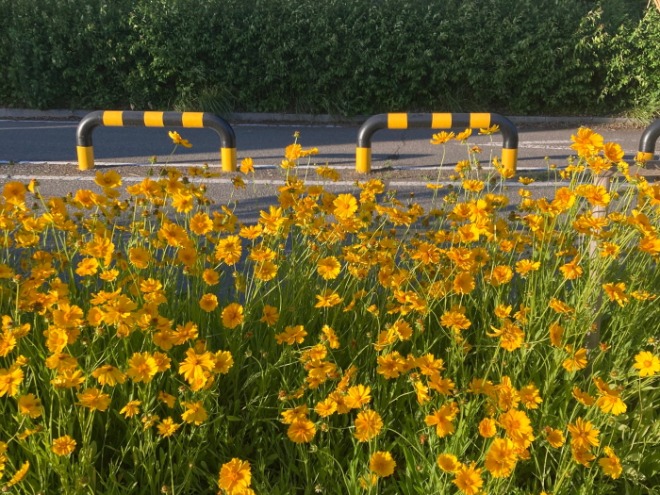 [크기변환]KakaoTalk_20220501_135401408_02.jpg